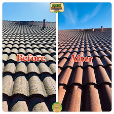 Roof washing